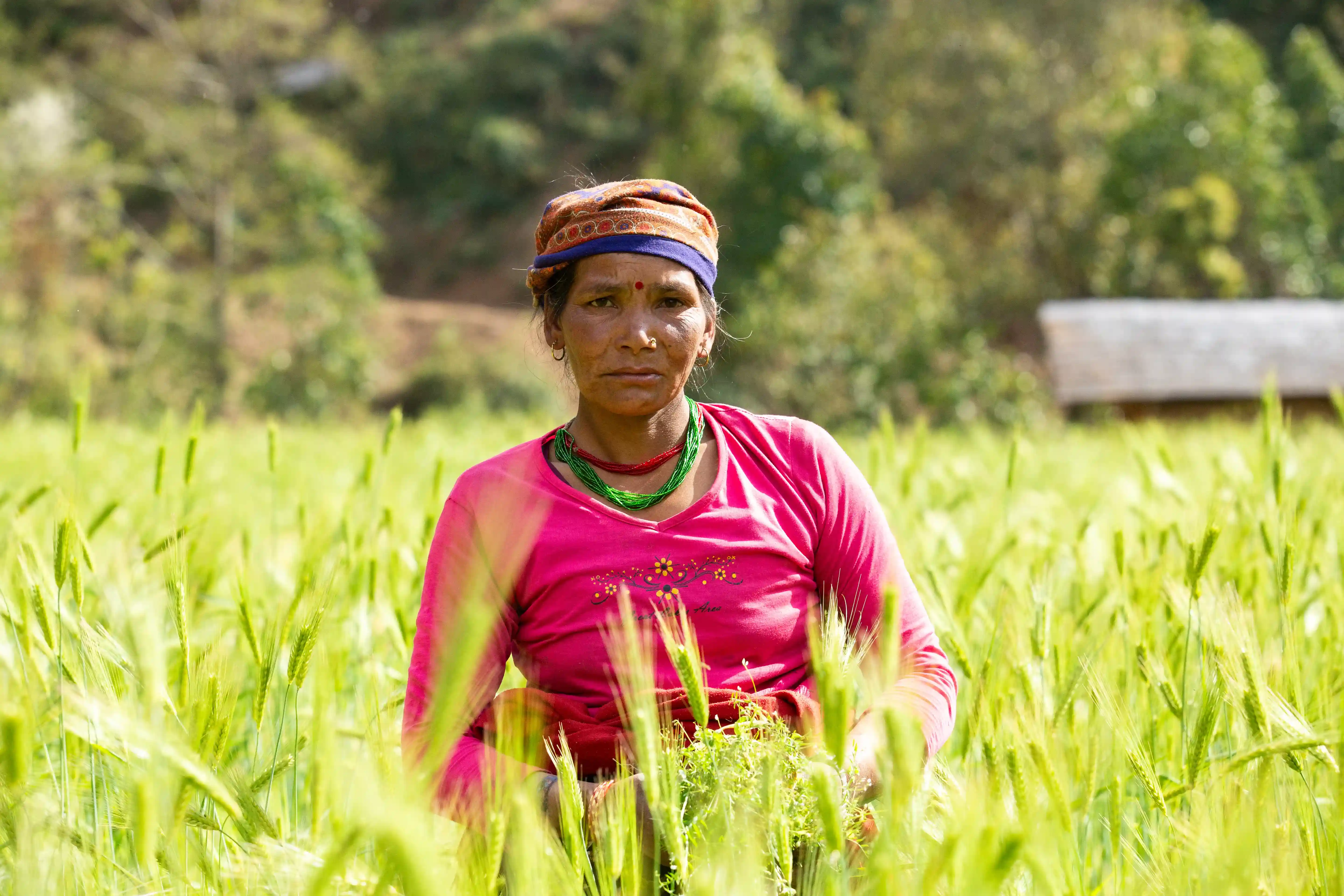 Locals of Galkot in their fields